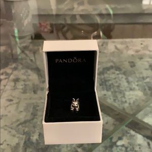 PANDORA charm ✨✨